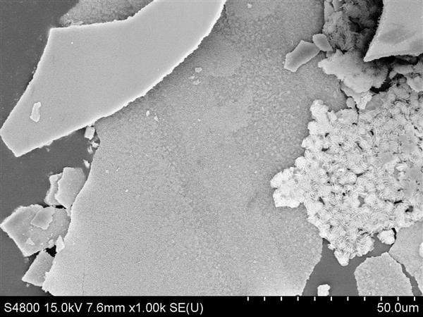 �@��Ƭ���ϵġ�������Very Beautif