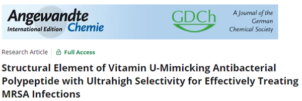 ���E�ͺ����Ե�������VIP�l����Ang